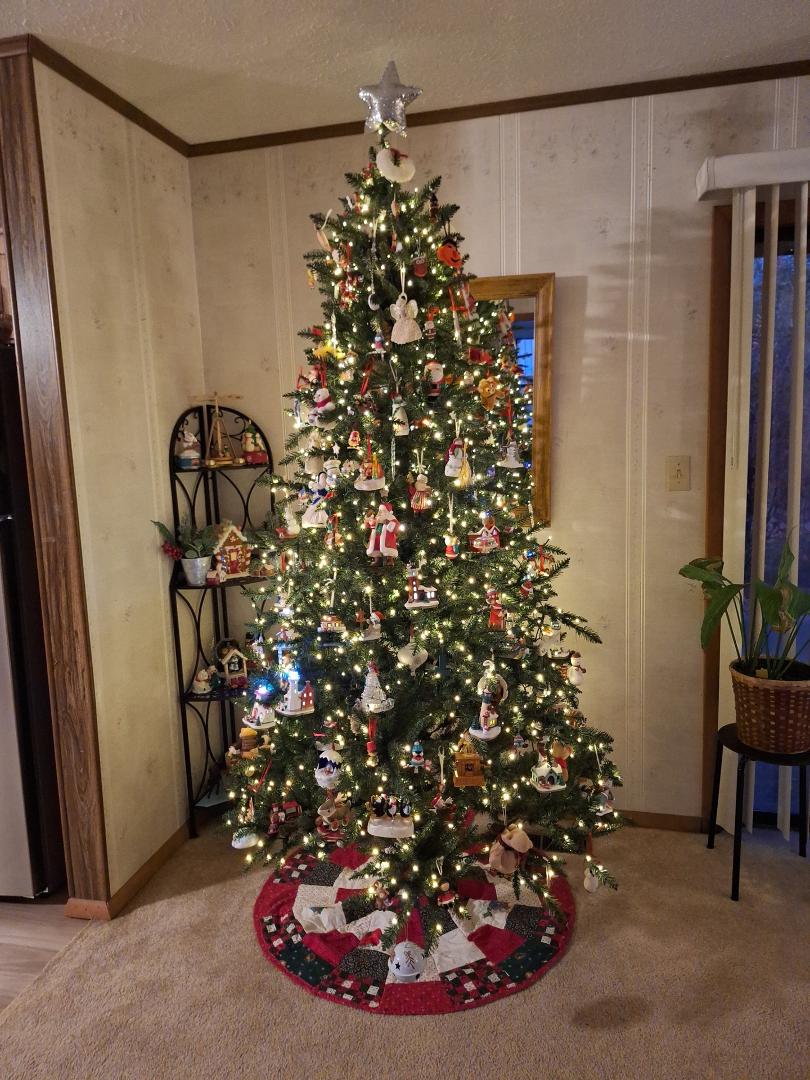 5 years later 📆⏳👣
