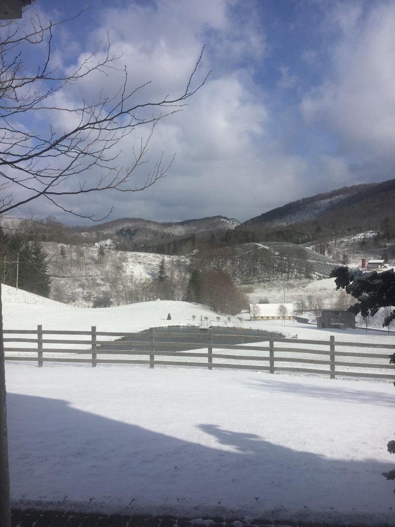 Yep... Spring has arrived!