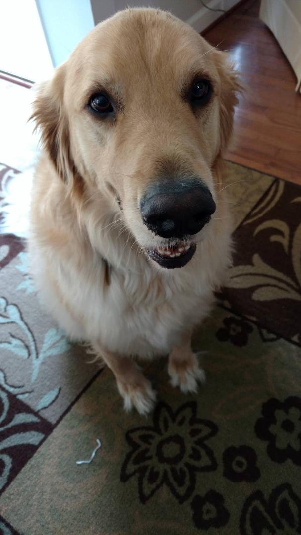 Guess who's birthday 3 yrs brandy big guy