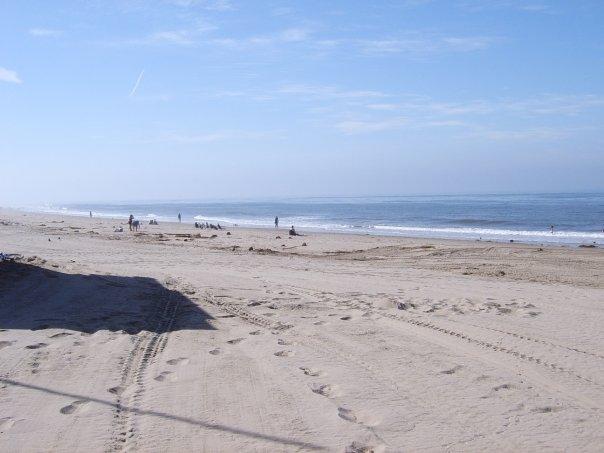 View to the east