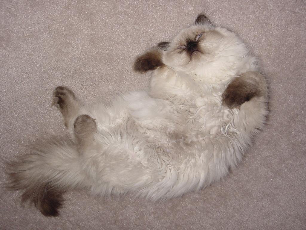 Watching her sleep in one of her crazy positions made me happy inside.