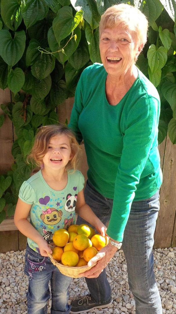 Grandma and Ashlynn have just picked the last of the oranges!