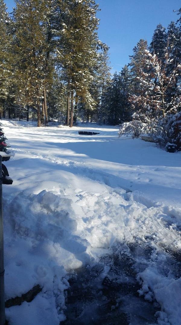 7 in. of snow overnight....wet and heavy...Most snow this winter here.... I'M READY FOR SPRING and DAYLIGHT SAVINGS..... and the plow came thru and added to the snow at the top of driveway....