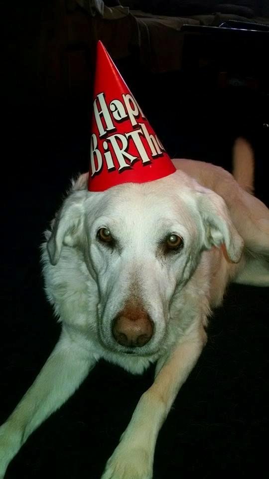 Happy 11th Birthday my Angel girl.
