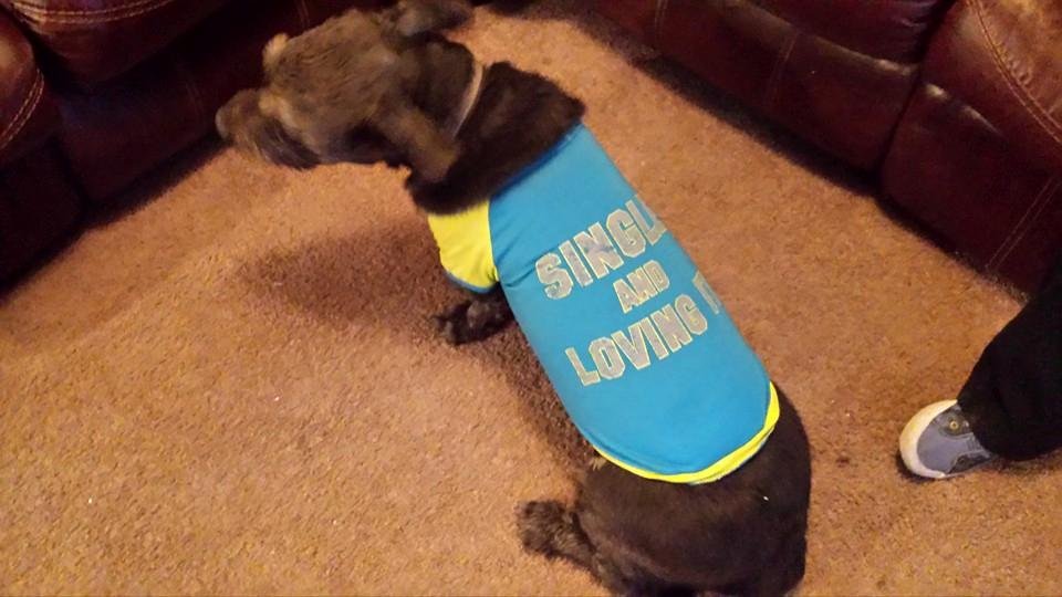 Here's Eeyore with his new outfit from his aunt Sherry Fernandez