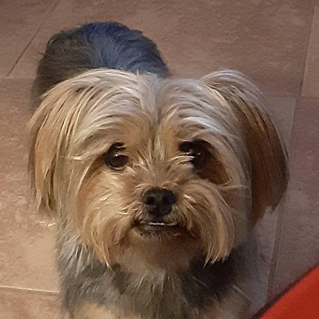 This guy! ❤❤❤