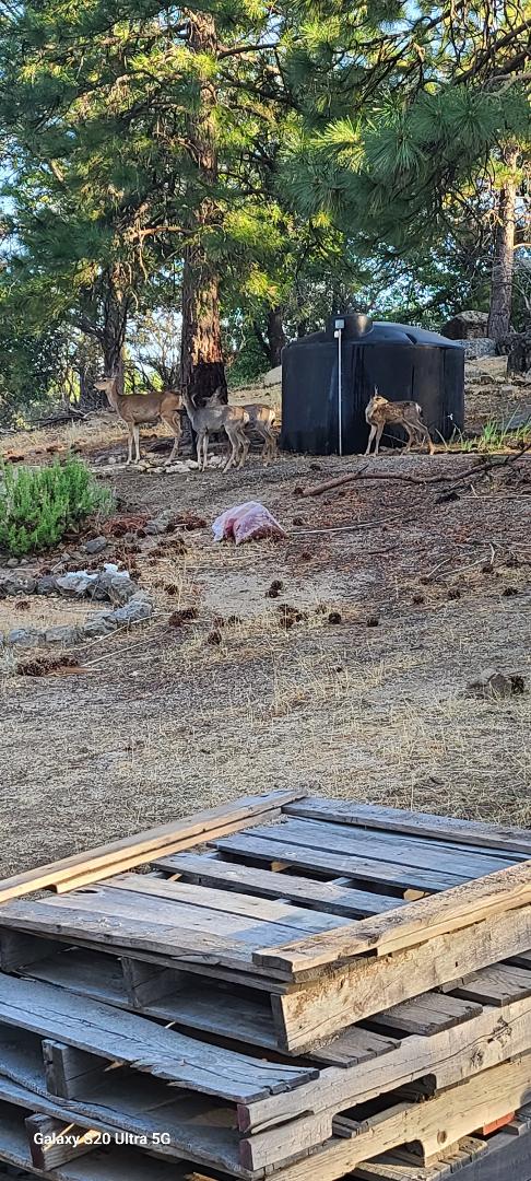Mom and her Army ...