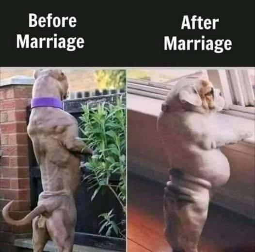 Robert Dillon's album, Timeline photos