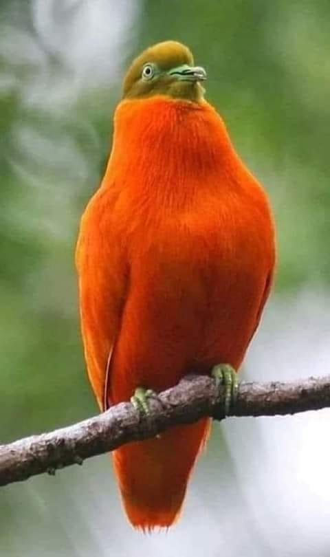 Ralph Plummer's album, Timeline photos