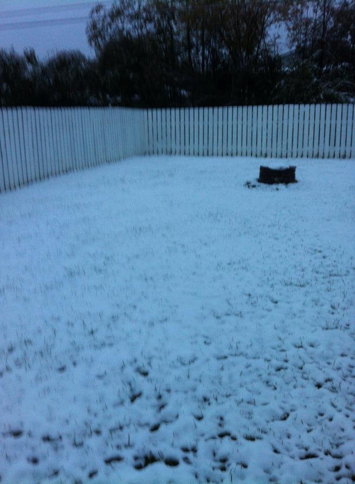 Beautiful morning!!???