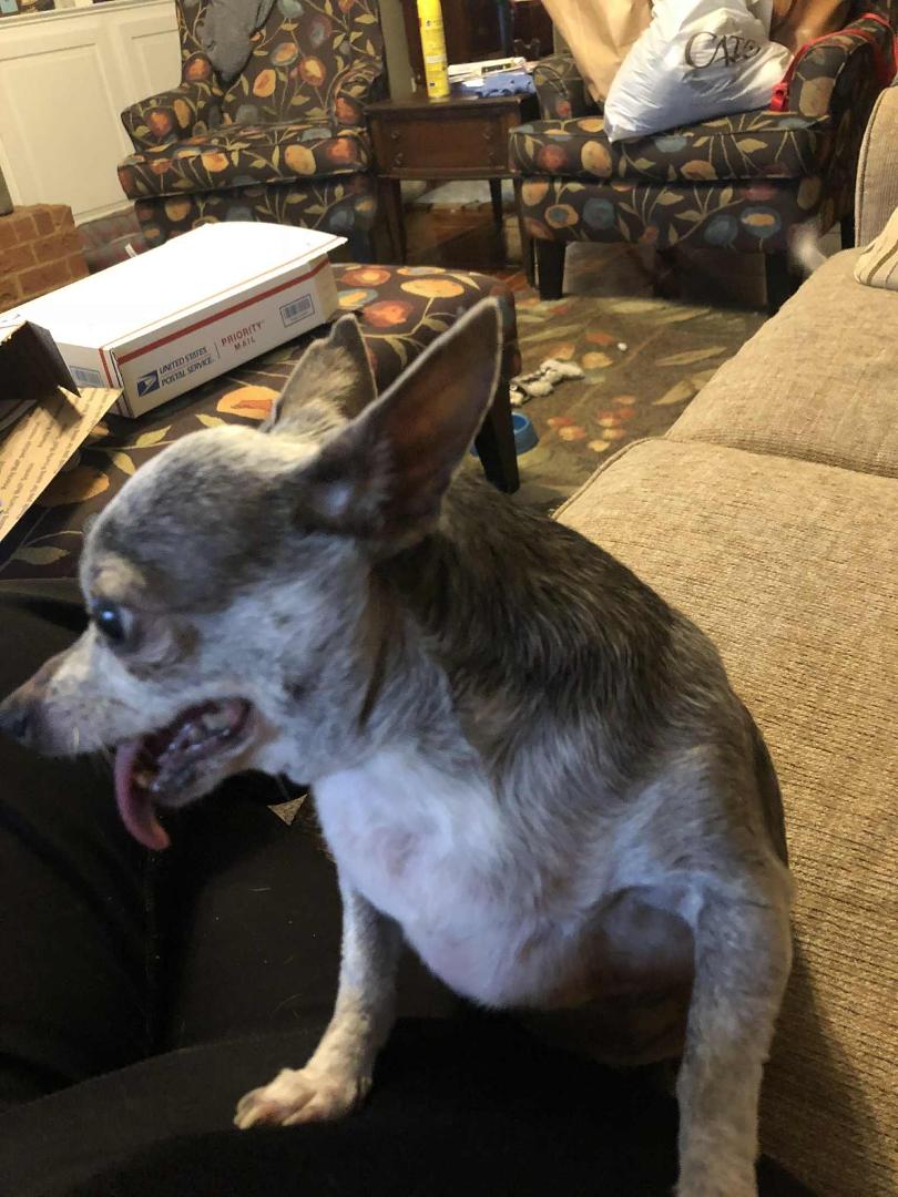 Chuck Pigue's album, Mobile uploads