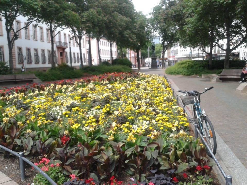 Flower garden on Schloss Strasse