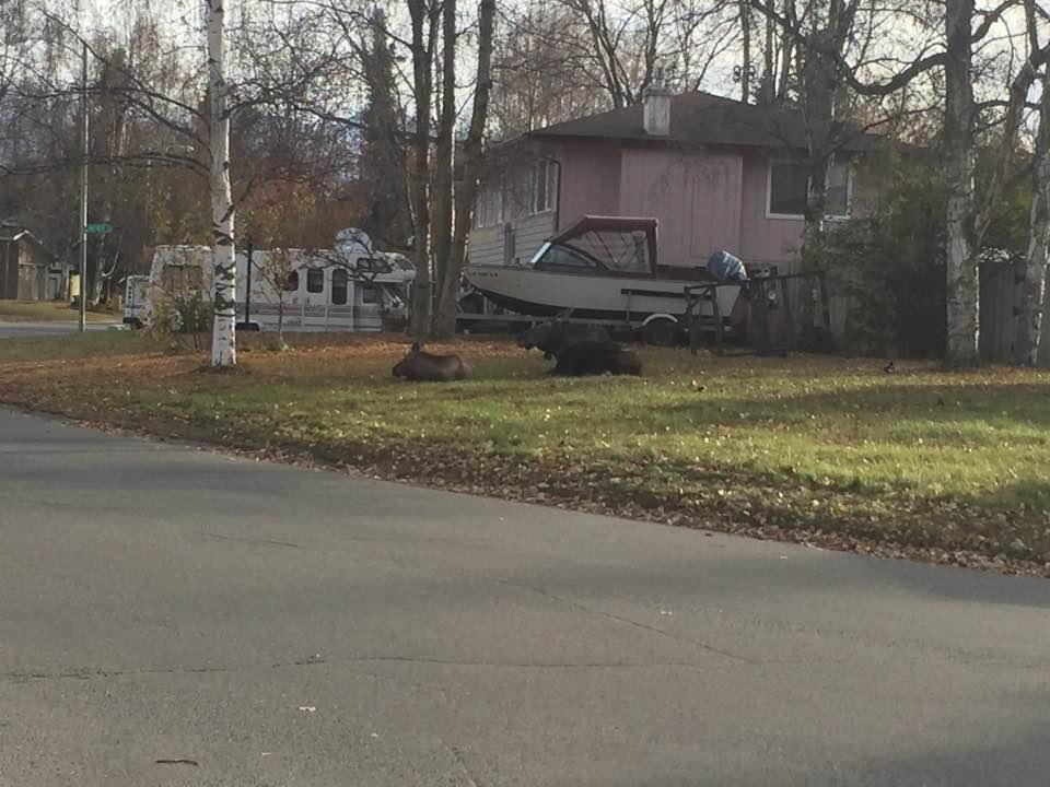 In front of flash and tammi's house