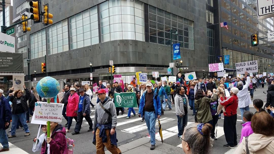 Idiots on Parade