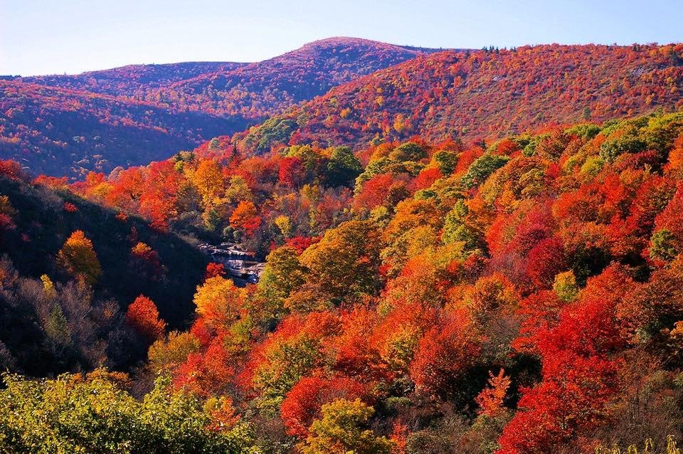 I think we picked the prettiest weekend to go through the Blue Ridge Mountains! All the Apple Barns are booming!
