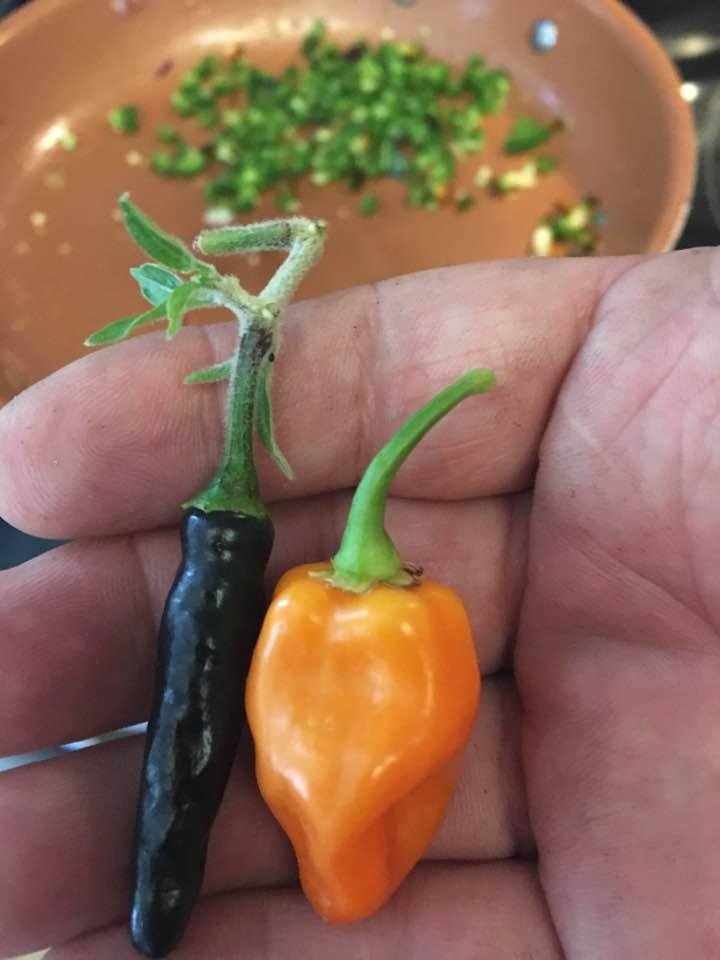 Some Halloween Chili!!!