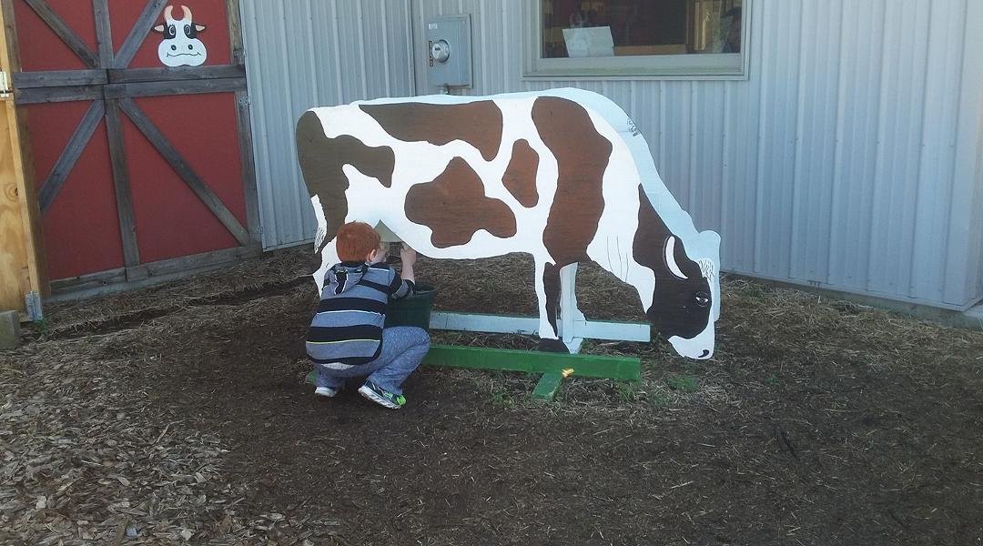 My dude milking the mechanical Holstein at Nesbitt 's this afternoon.