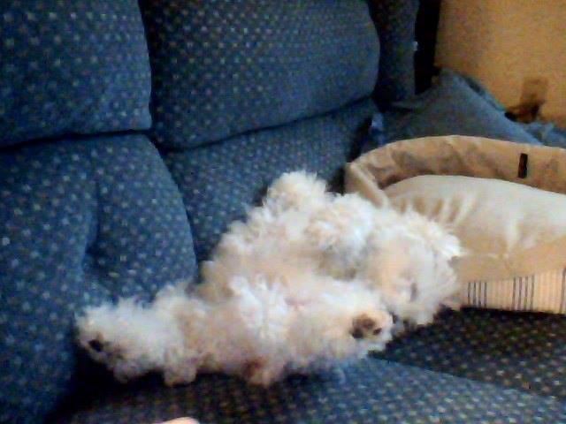 Barbara Smith's album, Timeline Photos