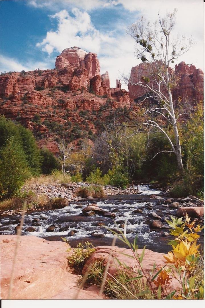 Red Rock Crossing, my fave place to hang out. creek is always refreshingly cold, which I love! flat rocks to warm up on & gorgeous Cottonwood trees on picnic grounds