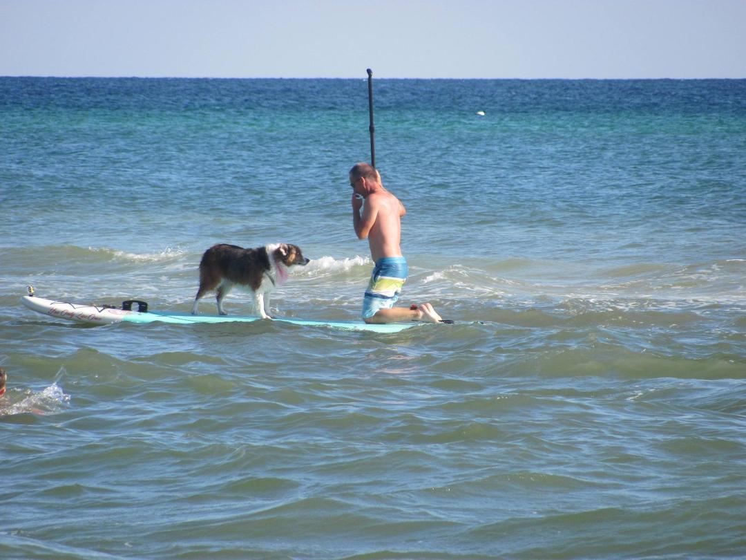 man and his best friend paddle boarding