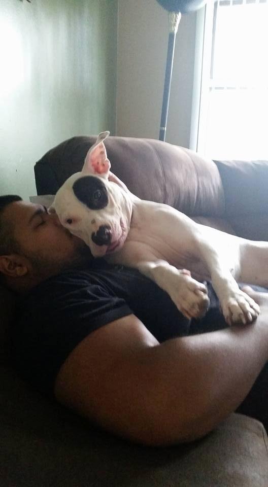 The title of this is: A Boy And His Dog. Rite Andrew Garza? Lol
