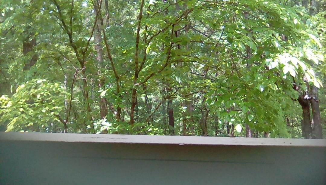 Chilling on my deck