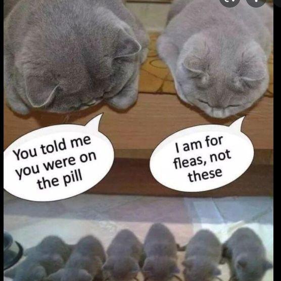 William Planck's album, Timeline photos