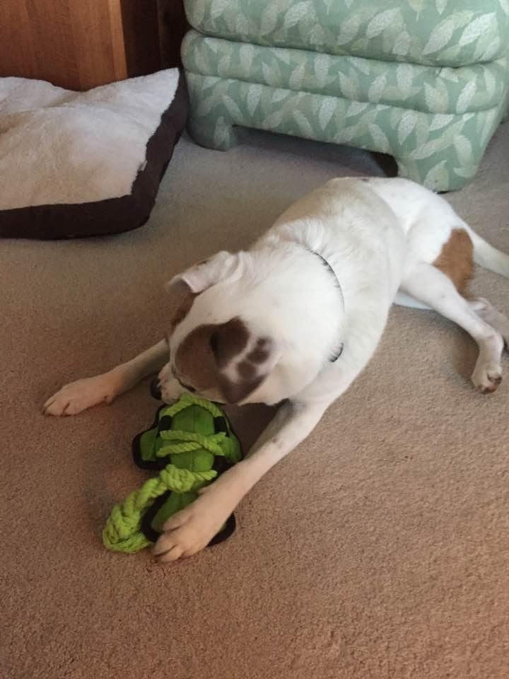 Jean, she has not stopped playing with her new new baby since you were here.