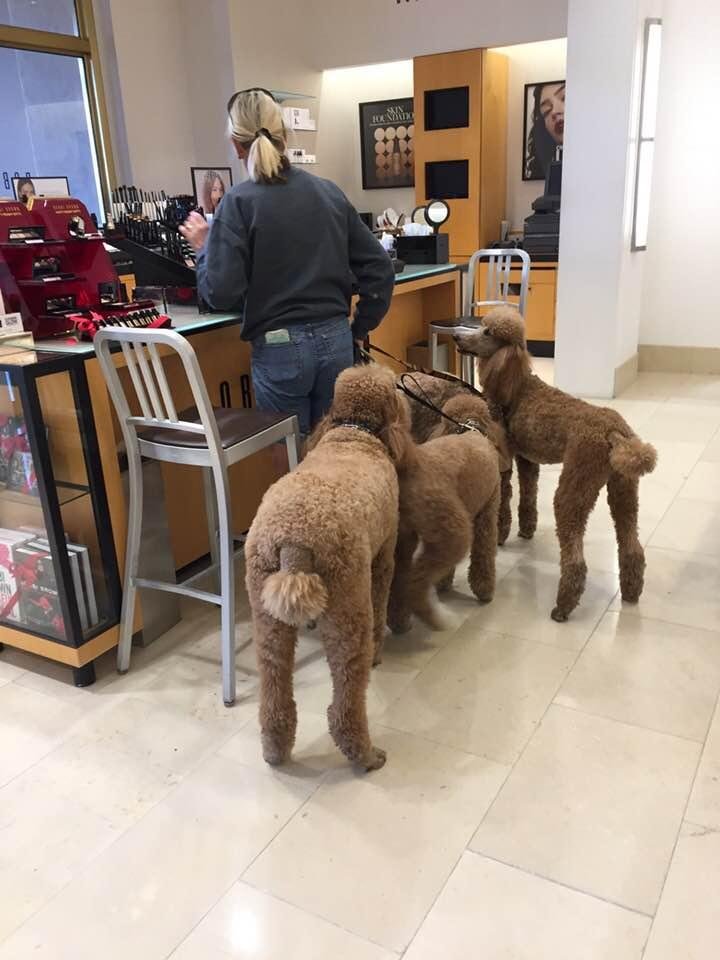 There was a fourth not able to capture in this pic . Saks Palm Desert.