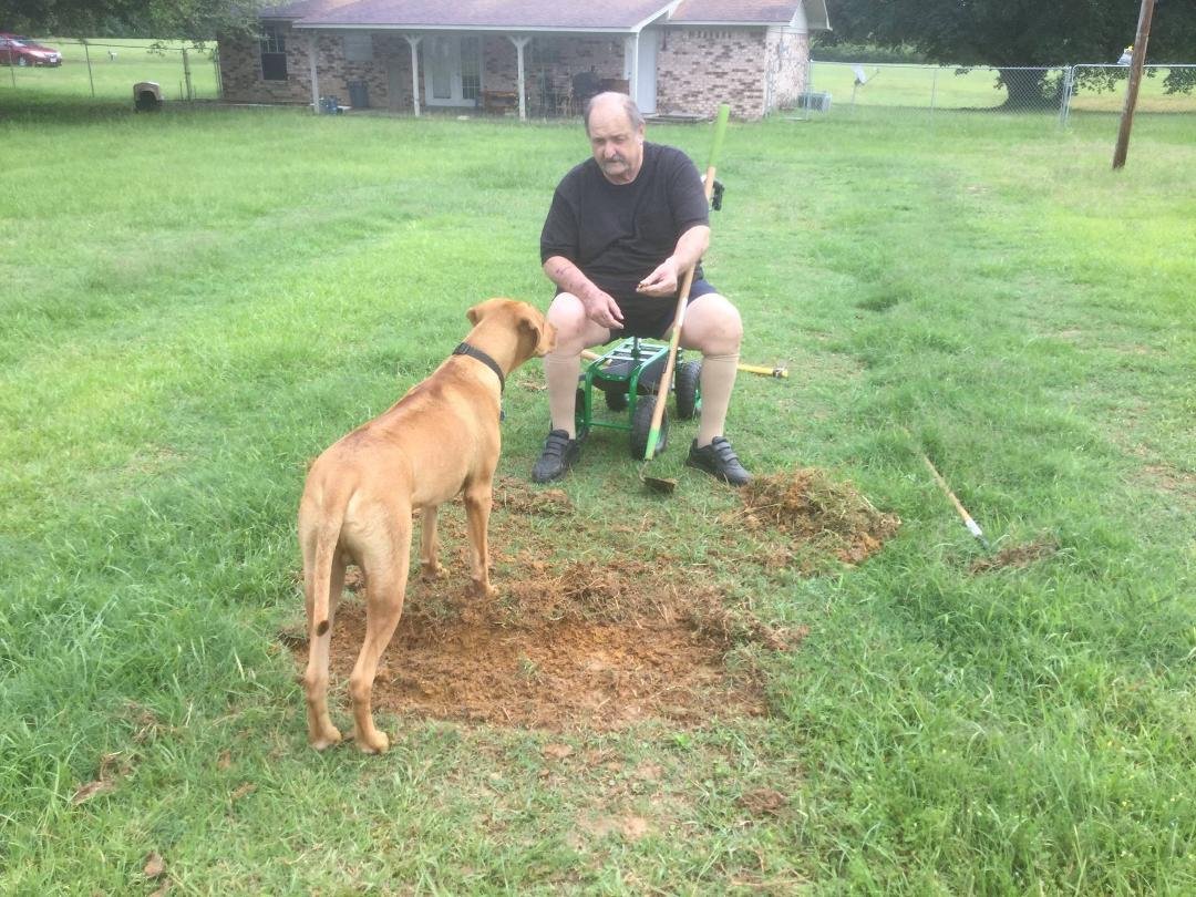 I'm trying to get my dog Buddy to help me dig our garden. It seems he is willing to dig anywhere in the yard but here.
