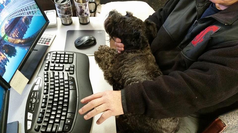 You may wonder how I get anything done.