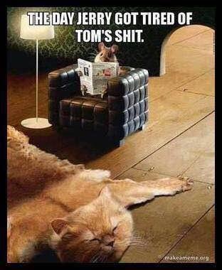 Susan Gammino's album, Timeline Photos