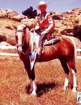 Love to Watch Roy Rogers TV Show