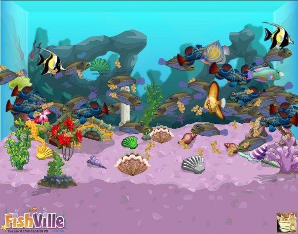 Bradley Arnold's album, FishVille Photos