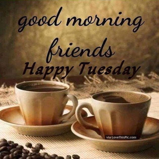 Good Morning ☕️🤠 Have a wonderful day 👍🏻