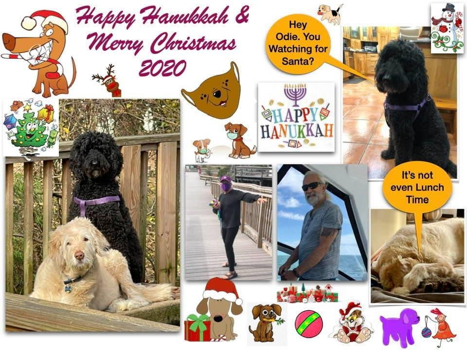 The Best to you in2021. Life WILL turn around!