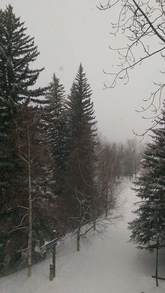 View from our balcony at the Charter at Beaver Creek.