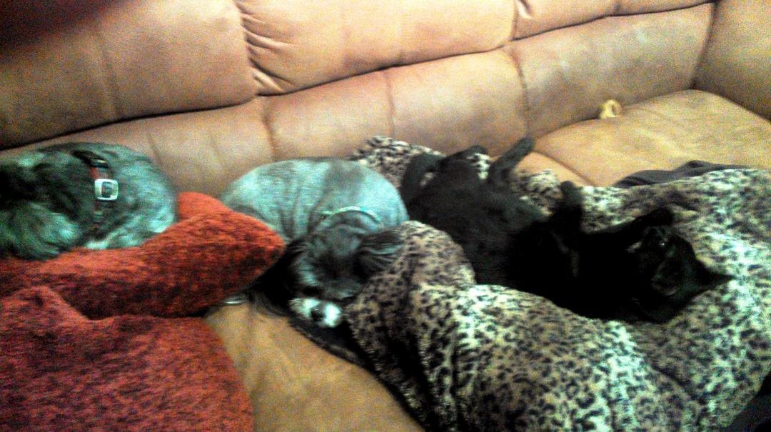 How my couch usually looks.