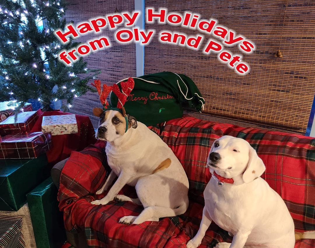 Don Schmidt's album, Timeline photos