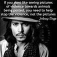 Lynn Reynolds' album, Timeline Photos