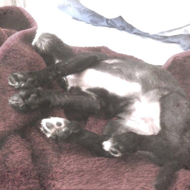 He seems comfortable