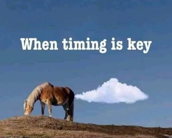 Don Lerche's album, Timeline Photos
