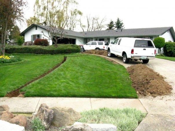 JUST WHEN MY LAWN WAS LOOKING GOOD.