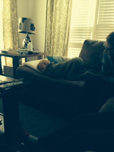 Bo getting comfy
