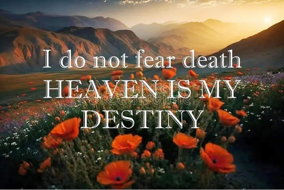 Jonathan Smith's album, Timeline photos