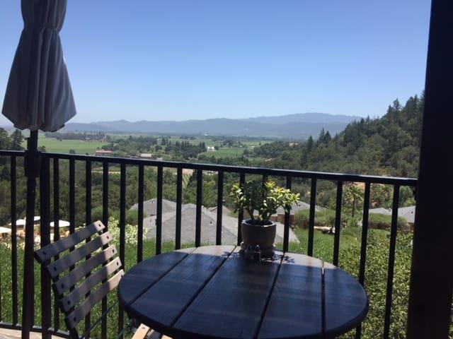Spent a lovely afternoon in the Valley of the Moon visiting with my charming cousin Dan (oh, and drinking wine).
