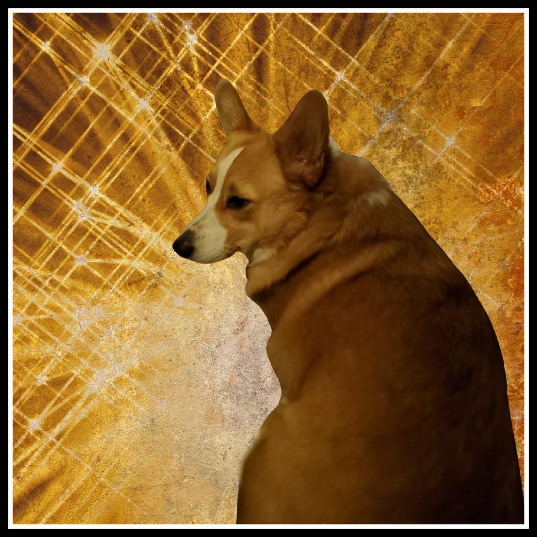 Dear friends and followers, I hope you are set to have a healthy, joyful, fun, productive day. Since my last profile cover change, I've been dealing with tech and health issues, which I am happy to report appear to be resol