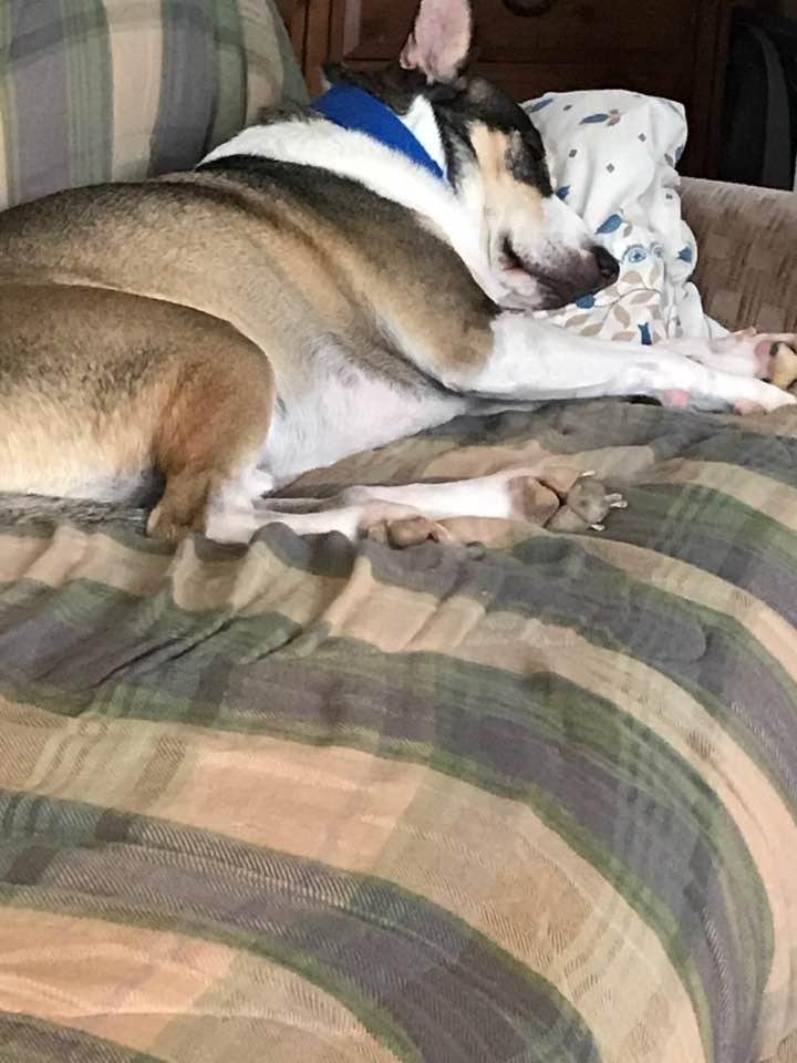 Bruce taking after his Dad