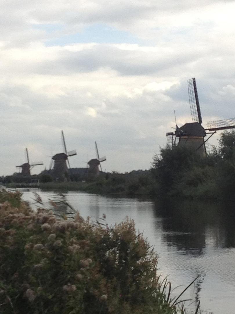 Windmills along polder (not a canal), Kinderdijk