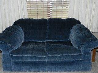 I am selling some living room furniture if anyone is interested. Couch and loveseat is in excellent condition and very clean! Asking $225 for the pair.
